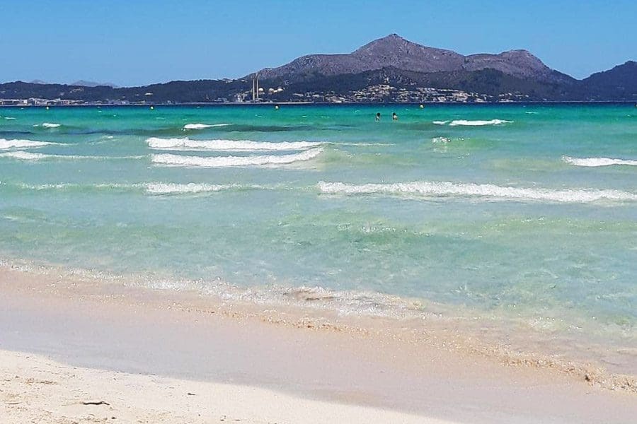 Explore Alcudia in Mallorca - discover Alcudia in Mallorca . Palmallorca.com - Mallorca Community