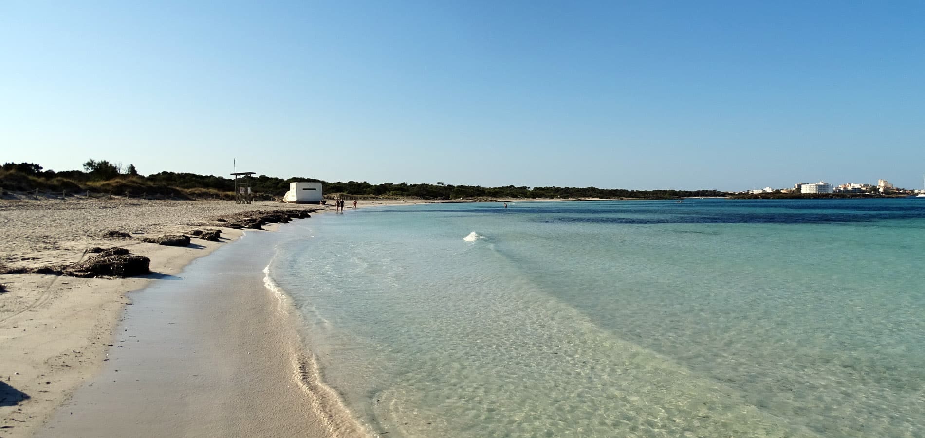 Es Trenc in Mallorca the caribbean beach in Mallorca. Best beaches of Mallorca. Palmallorca.com - Mallorca Community