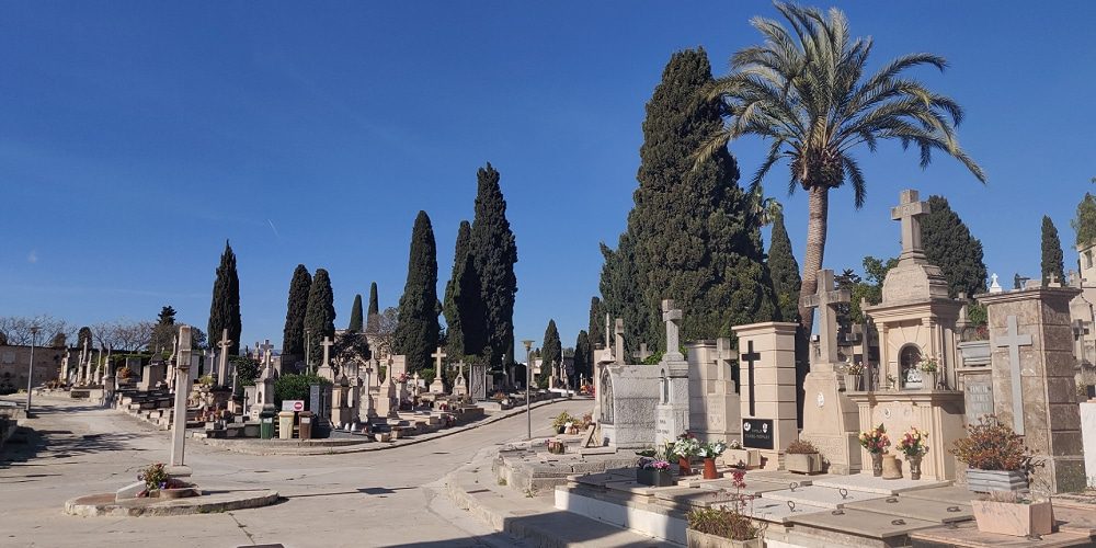 Explore the cemetery in Palma