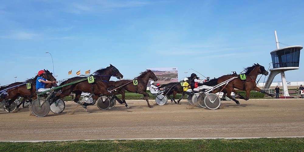 Horse racing in Palma. Palmallorca.com - Mallorca Community.