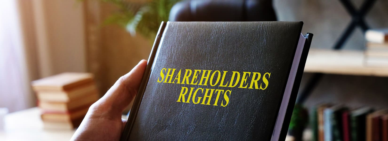 The Owners Agreement – Shared Rules for Smooth Co-Ownership with Palmallorca