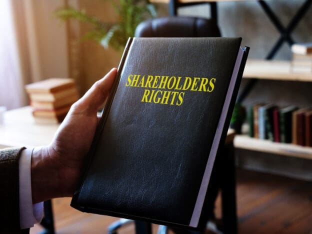 Share holders book Palmallorca