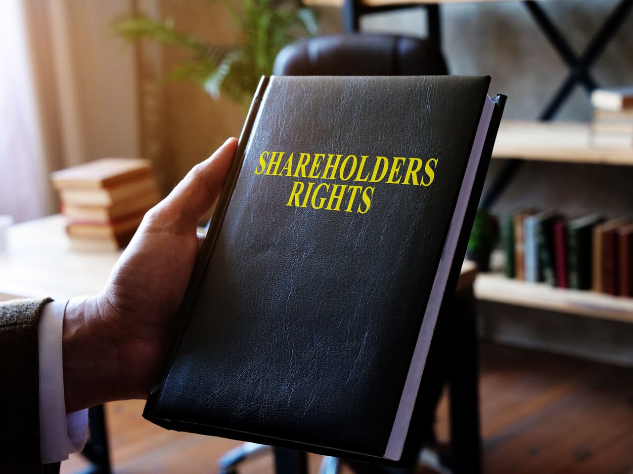 Share holders book Palmallorca